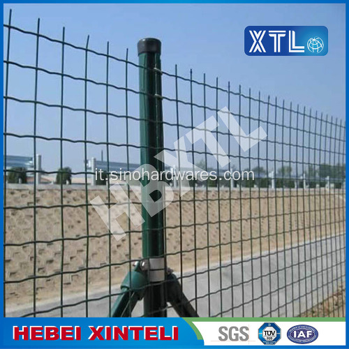 Green Holland Wire Mesh Fence